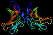 NICTH with secondary acromegaloid changes and severe hypoglycemia due to potentially insulin-like growth factor-2 mediated effects